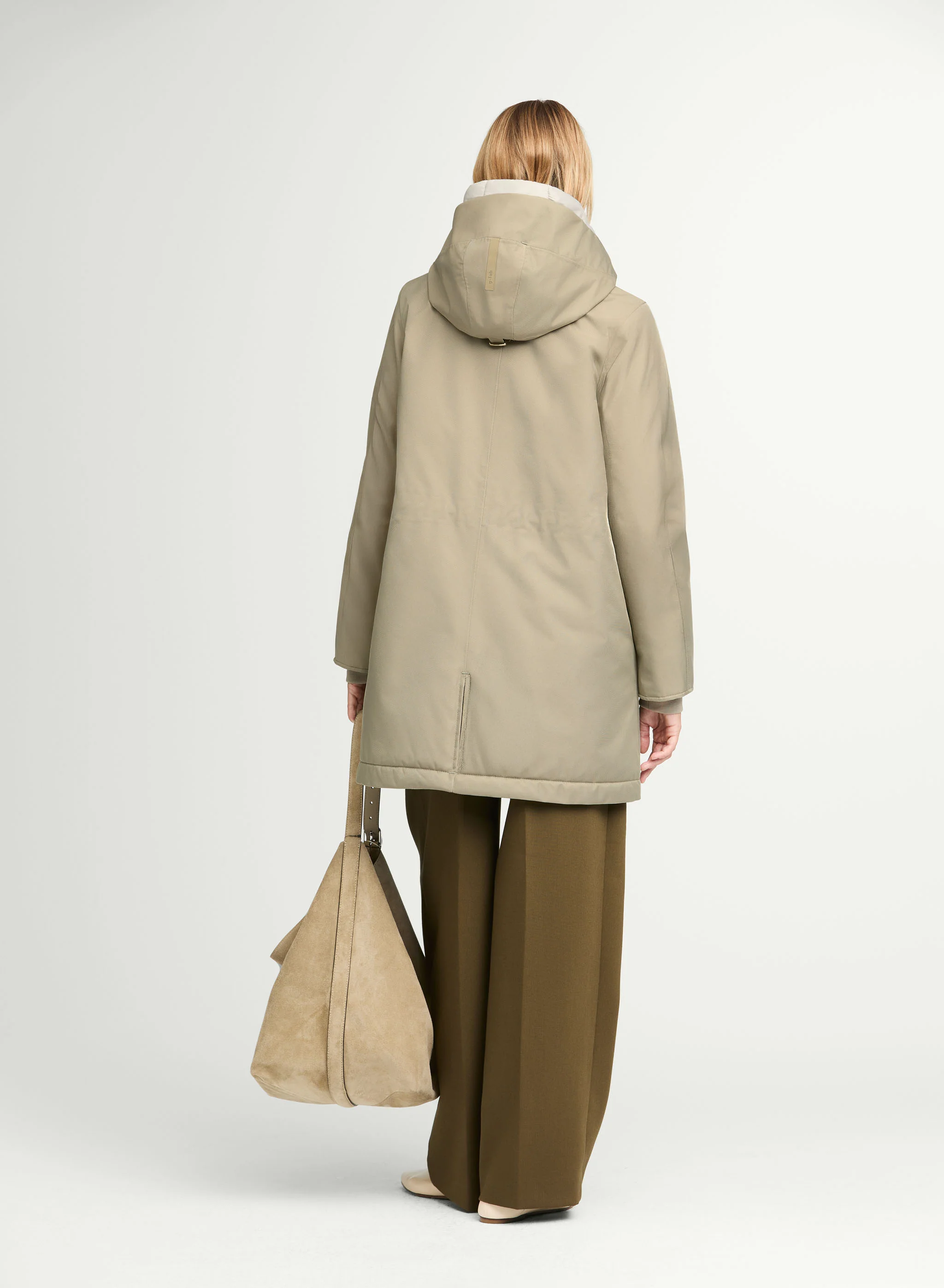 IVY - Image 4
